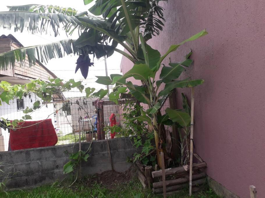 Casa Proximo A Praias, Trilhas E Cachoeiras. Гаропаба Екстериор снимка