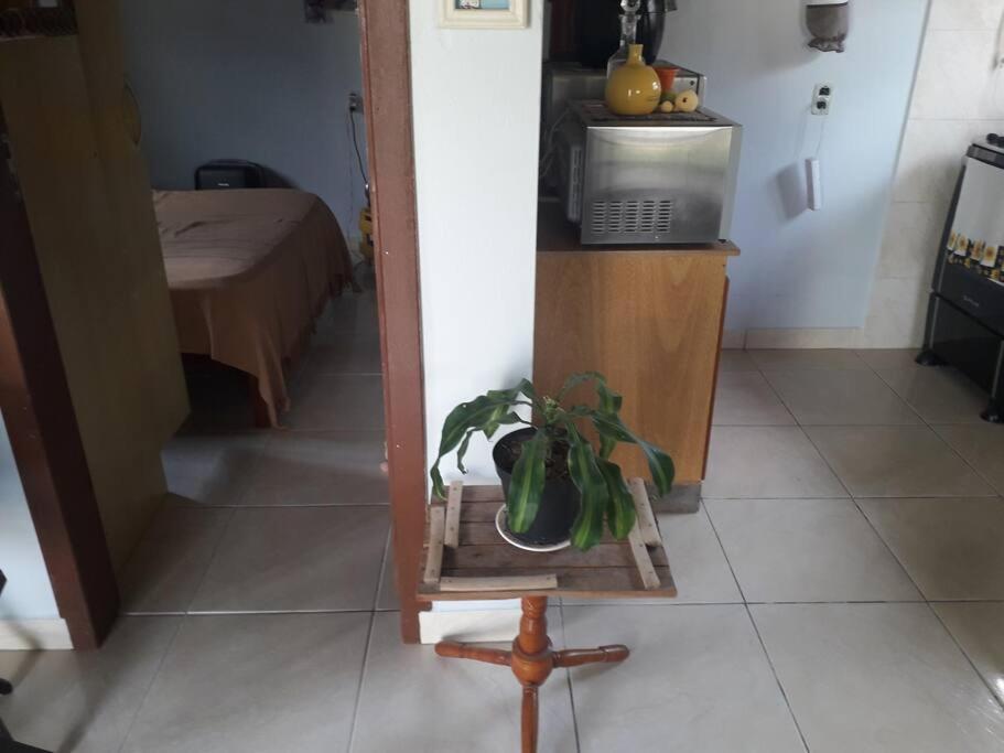 Casa Proximo A Praias, Trilhas E Cachoeiras. Гаропаба Екстериор снимка