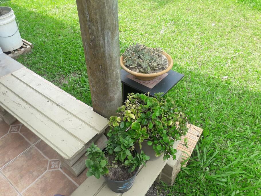 Casa Proximo A Praias, Trilhas E Cachoeiras. Гаропаба Екстериор снимка