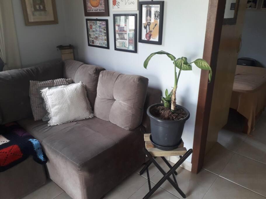Casa Proximo A Praias, Trilhas E Cachoeiras. Гаропаба Екстериор снимка